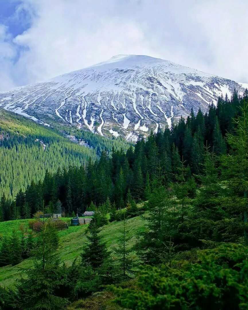 говерла гора. предгорье карпат. словакия карпатские горы. южные карпаты румыния. гора говерла в карпатах высота.