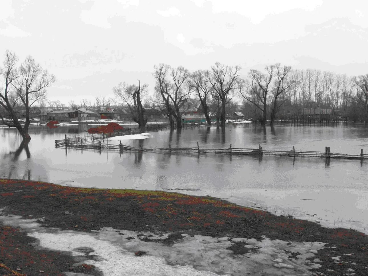 Временное затопление водой местности. Затопление суши водой. Паводок. Временное затопление водой местности. Алтайский край зоны подтопления.