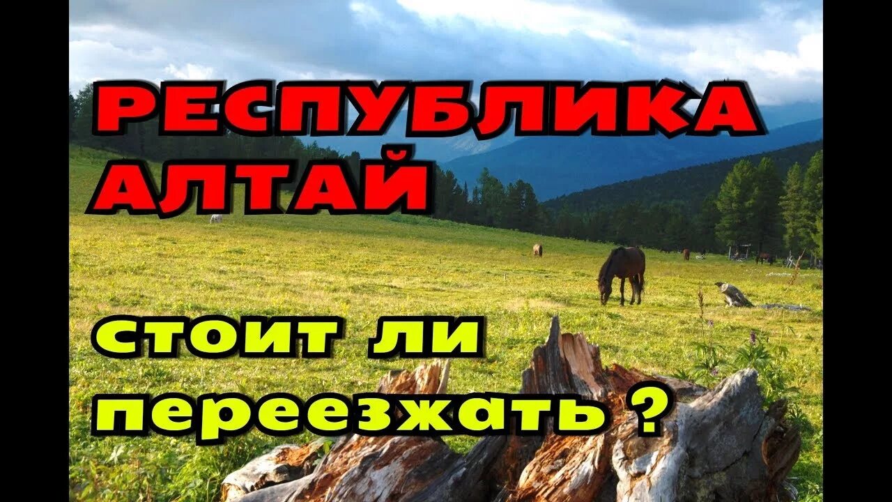 Переехавшие на алтай. Переезд на Алтай на ПМЖ. Алтай п. Переехать в Алтай. Переезд в горный Алтай на ПМЖ.