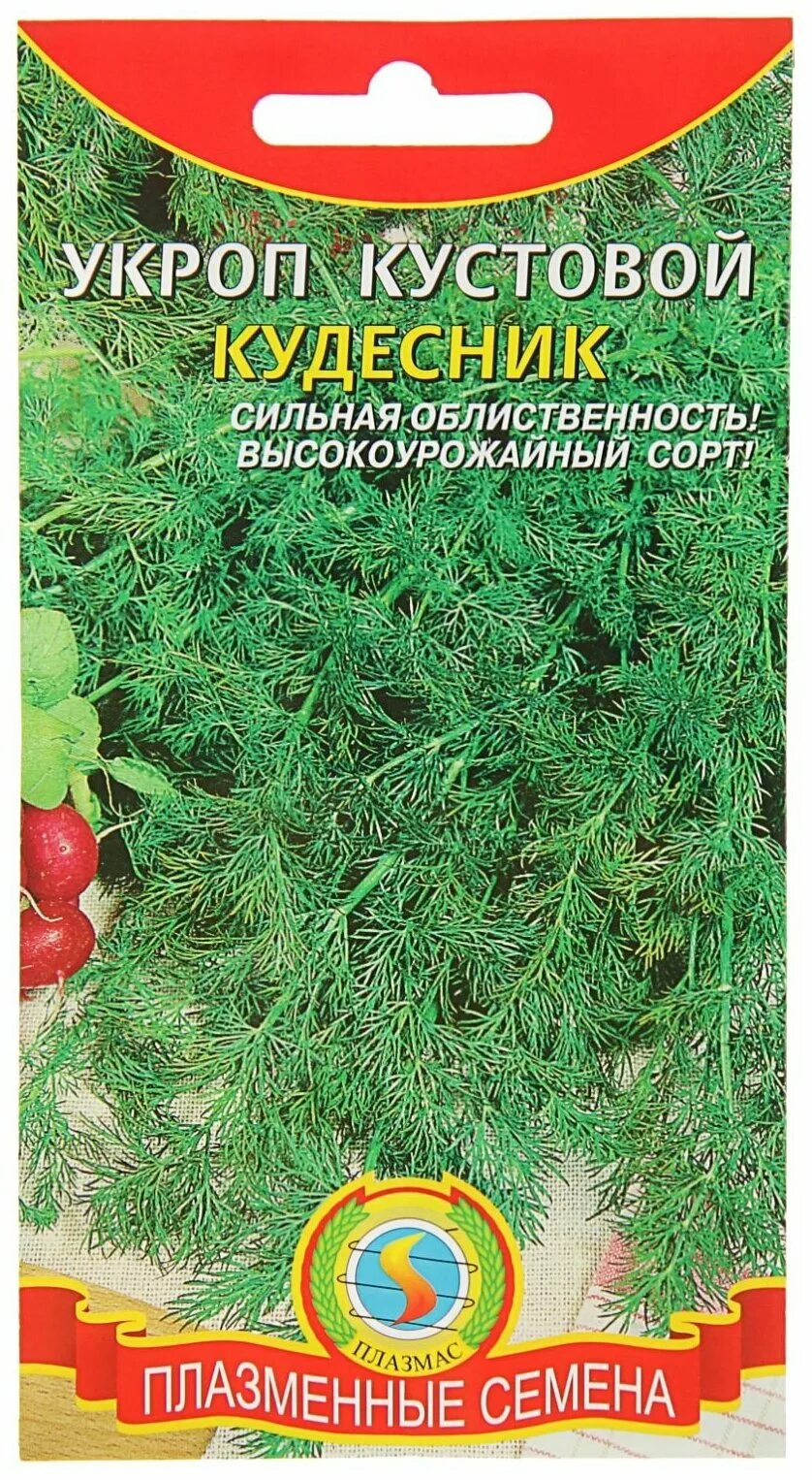 Укроп кустовой сорта. Укроп кустовой. Сорта укропа. Семена укропа кустового. Укроп кустистый.