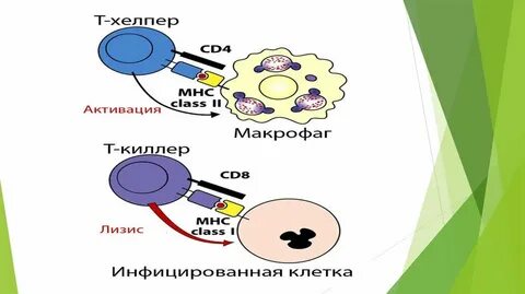 Сми хелпер