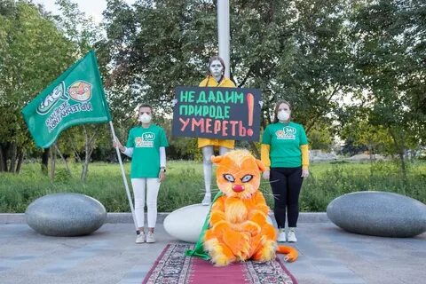 Зеленая альтернатива