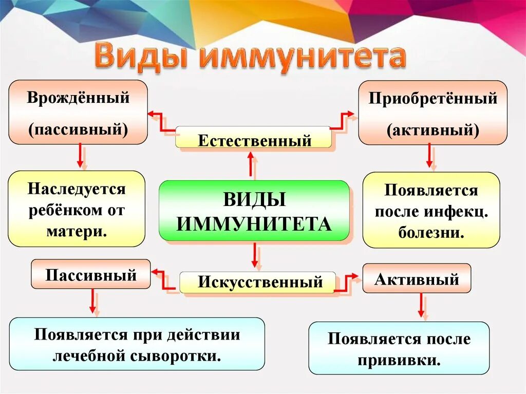 Классификация иммунитета клеточный гуморальный. Клеточные факторы врожденного и приобретенного иммунитета. Активный и пассивный приобретенный иммунитет. Врожденный активный иммунитет. Естественный иммунитет особенности