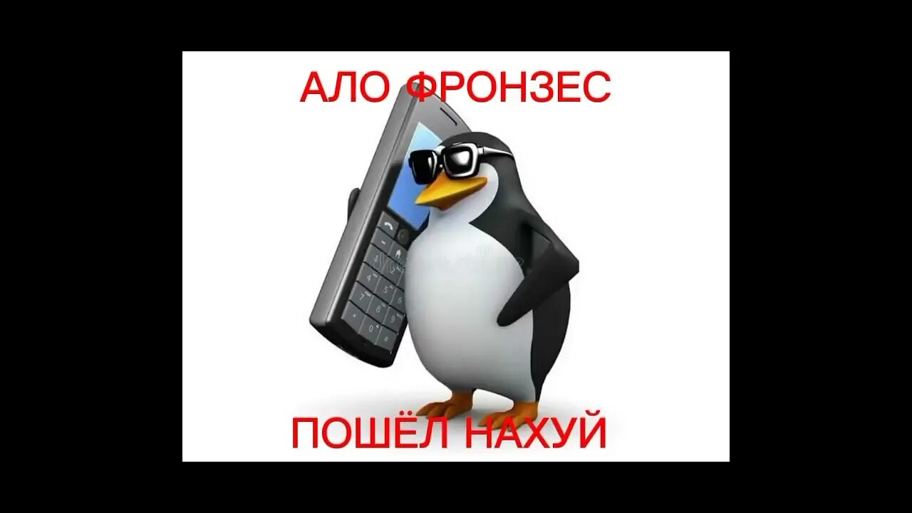 Пингвин Мем. Пингвин в очках с телефоном. Мемы с пингвинами. Ало фронзес Мем. Фронзес