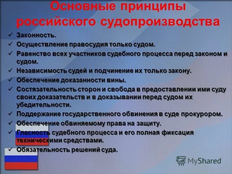 Принципы судопроизводства конституция