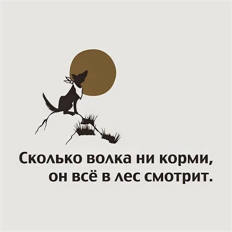Карикатуры животных. Сколько волка ни корми все равно в лес смотрит. Пословица корм а порт. Зайца ноги кормят. Мясо карикатура.