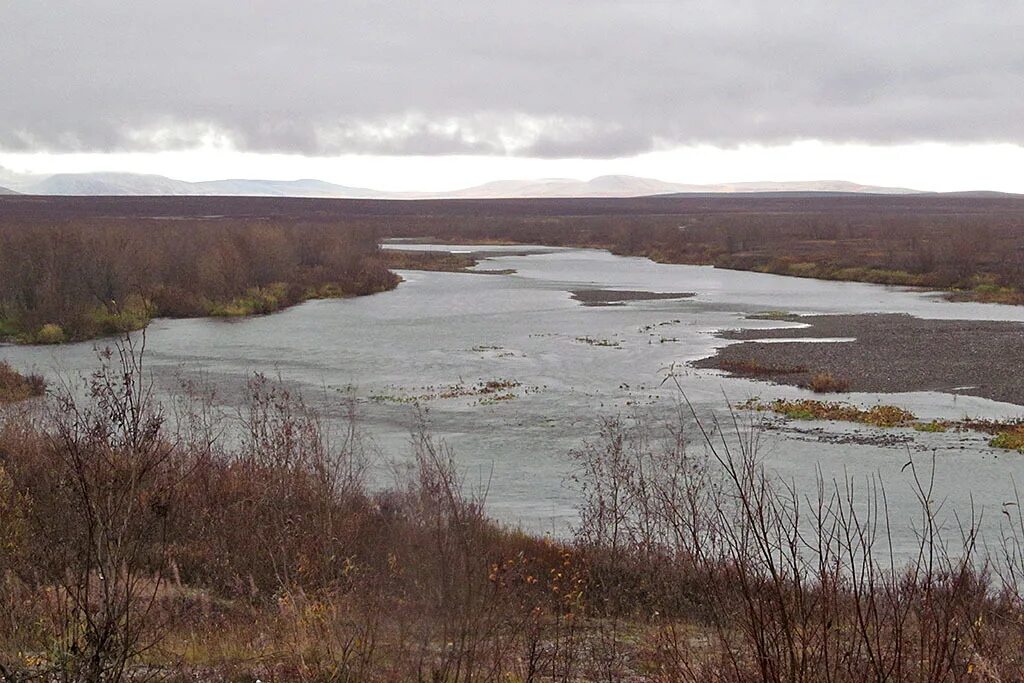 Лабытнанги воркута расписание