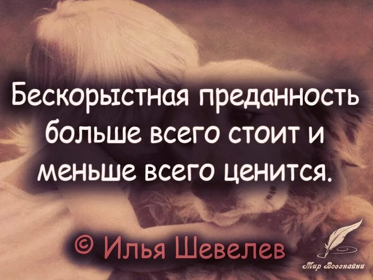 Бескорыстные отношения. Высказывания о преданности. Афоризмы про преданность. Высказывания про верность. Мудрые цитаты о верности.