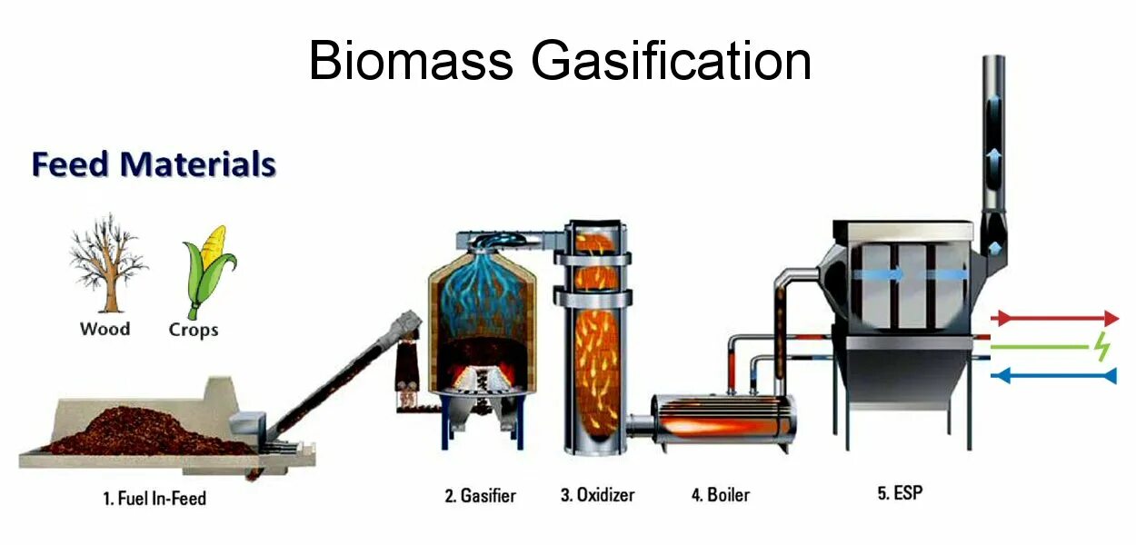 Energy process. Biomass Energy схема. Газификация биомассы. Газификация древесины. Пиролиз биомассы.