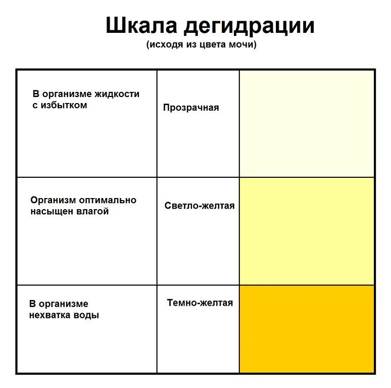 Нормальный цвет мочи при беременности в 3 триместре. Моча аномального цвета. Нормальный цвет мочи. Моча светло желтого цвета. Сделайте нормальный цвет