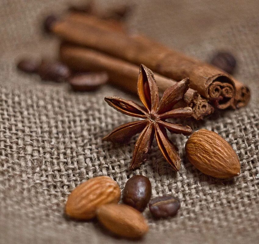 бадьян (анис звездчатый). кофе в зернах. анис (бадьян). сушеный апельсин,бадьян,кардамон. бадьян звездчатый анис корица апельсин.