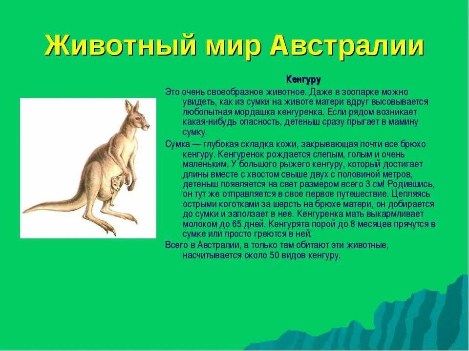 растительный и животный мир австралии 7. доклад по географии 7 класс на тему животный мир австралии. животные мир австралии. птица киви презентация. растительный мир австралии эвкалипт.