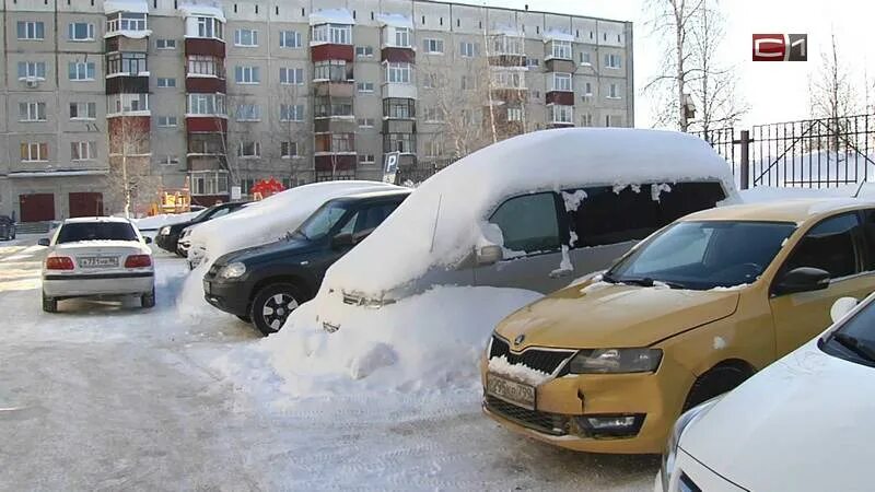 Ук дез сургут. Снегопад в Сургуте. Сугробы в Сургуте. Город Сургут в снегу. Снег в июне в Сургуте.