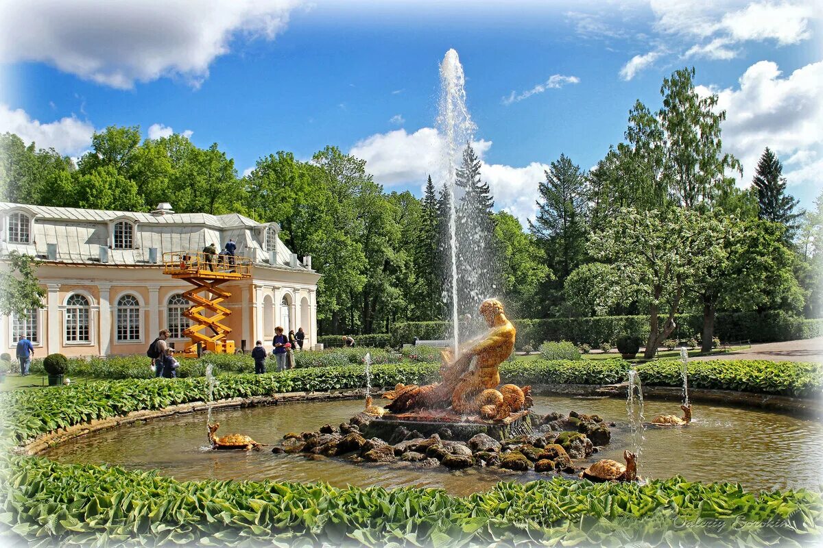 Петергоф заправки. Петергоф заправки