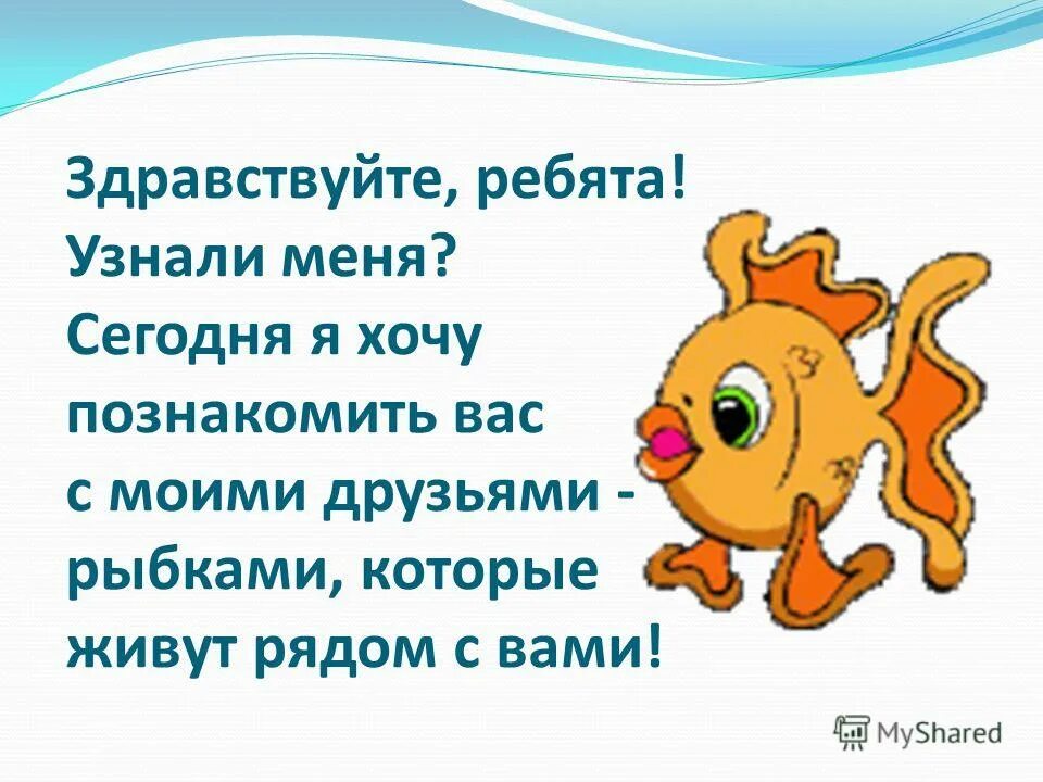 привет хочешь познакомиться. сегодня хочу познакомить вас. сегодня хочу познакомить вас. не хочешь познакомиться. взаимный пиар в инстаграм.