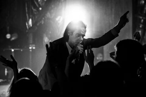 Nick cave o