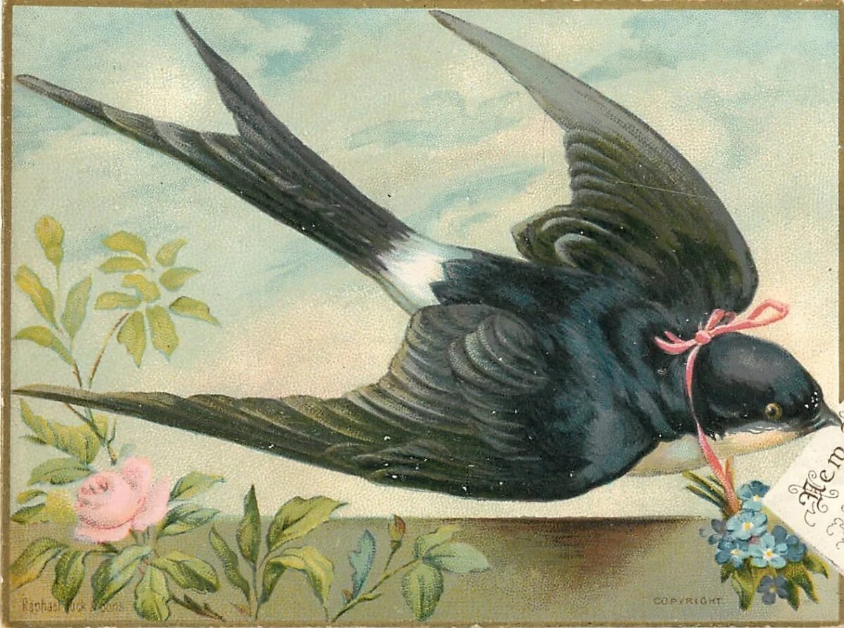 Изящную птицу ласточку называют символом весны. Ласточки живопись. Ласточка птица. Картина ласточки.