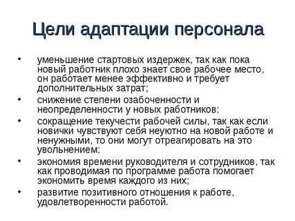 Сколько времени адаптация на работе