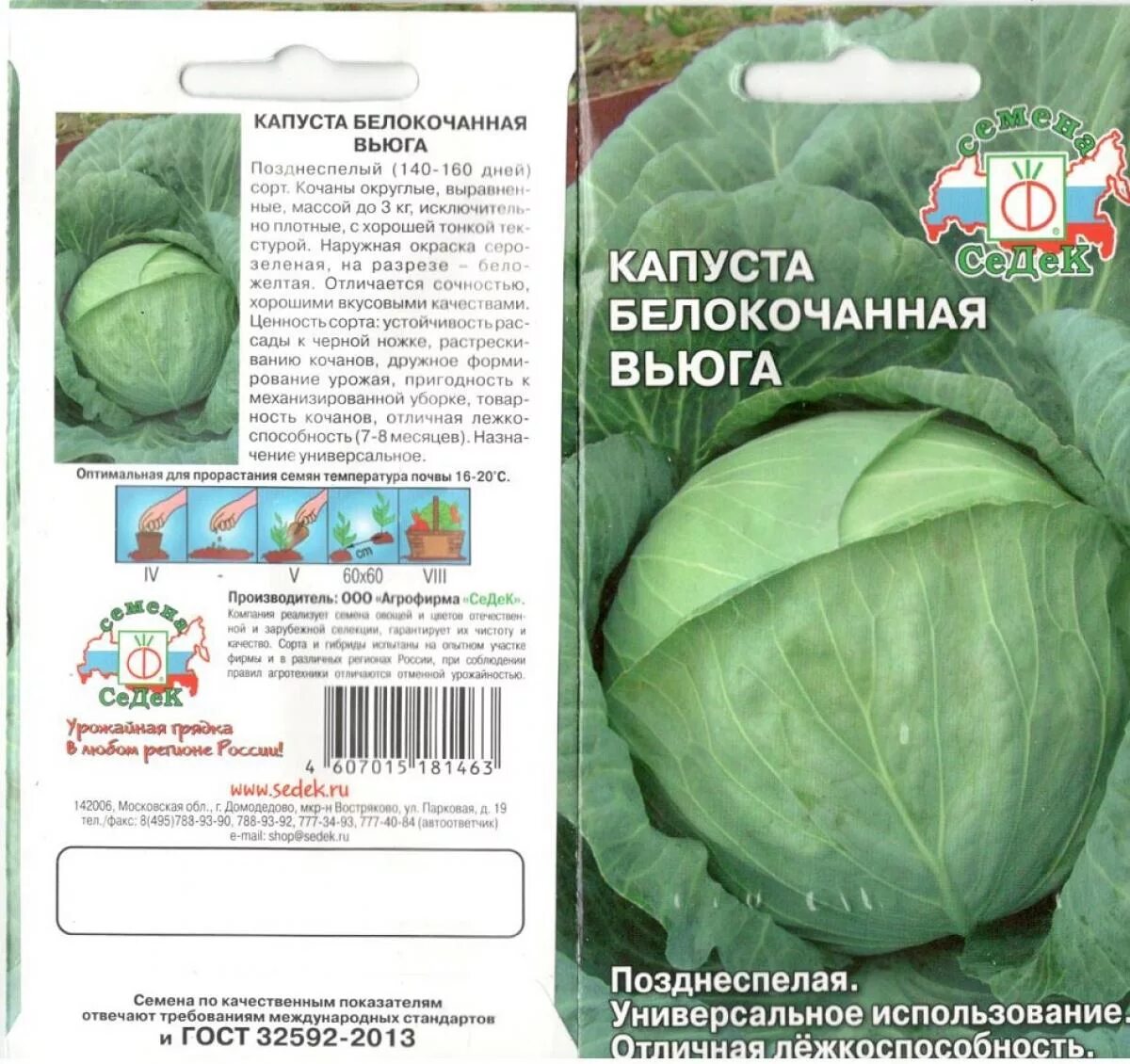 Хорошие сорта капусты для открытого грунта. Семена капуста вьюга, 0,5 г седек. семена капусты белокочанной лучшие сорта для открытого грунта. семена капуста &quot;вьюга &quot;f1 0.5 г.