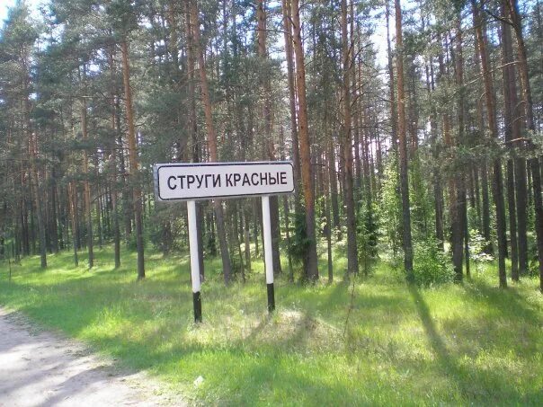 Струги красные. Герб Струги красные Псковской области. Флаг Струги красные. Струги красные стадион. Новоселье Струги красные.