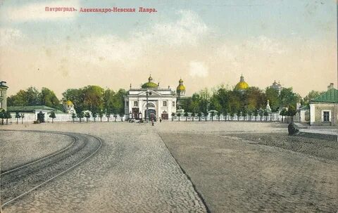 Какой была петербургская жизнь владимира