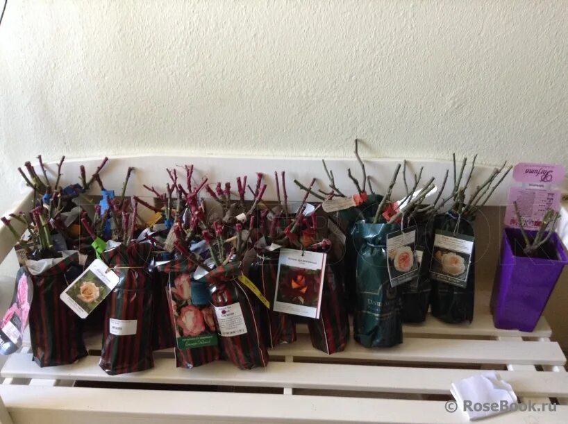 подворье розы интернет магазин