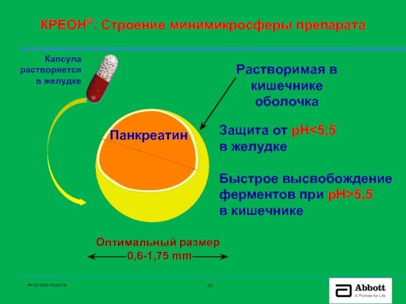 Таблетка растворяется в желудке. Капсулы растворяются в желудке. Капсулы не растворяются в желудке. Таблетка не растворяется в желудке.