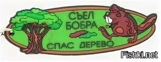 Метровая ручка. 8 6 4 2 ручка тр@хнула бобра. Ручка тряхнула бобра. Ручка бобра. Крутые бобры gif.