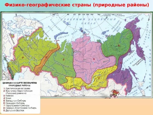 География 8 класс края россии. Карта физико-географического районирования России. Физико-географические районы России карта. Карта природных районов России 8 класс. Карта физико-географического районирования России для 8 класса.