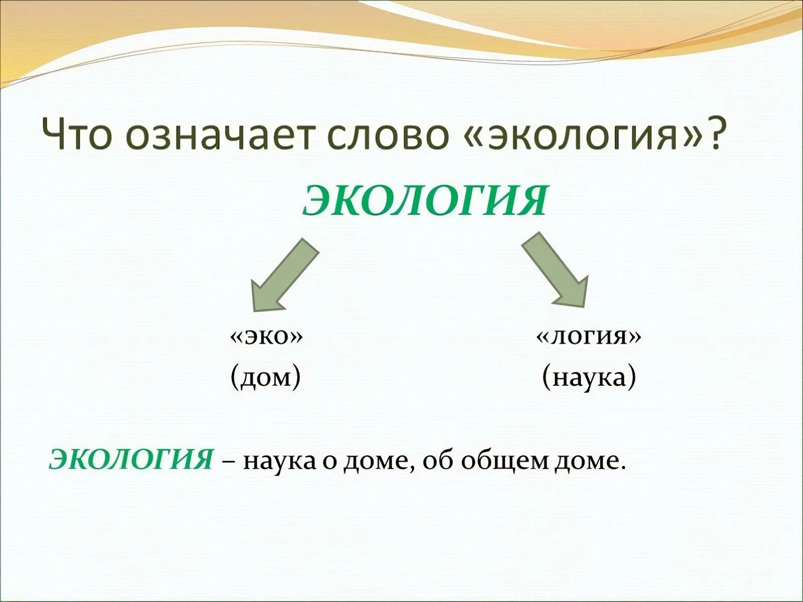 Что обозначает слово где. Что означает слово экология. Экология слова. Что значит слово экология. Что означает термин экология.