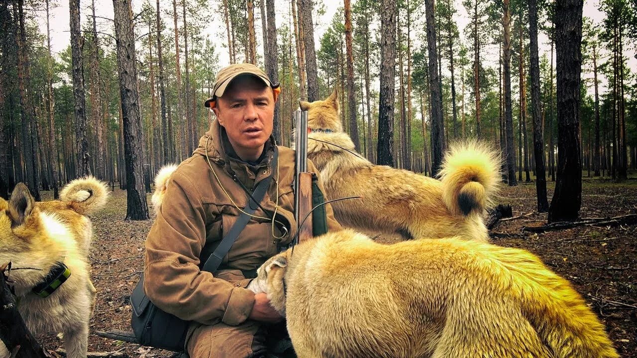 Видео жизнь охотника