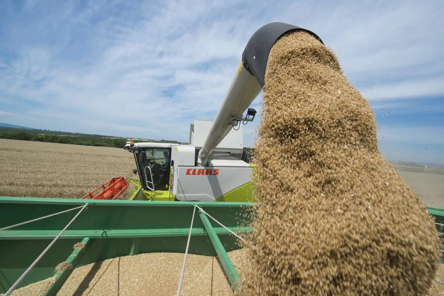 Уборка пшеницы. Уборка зерновых. Уборка урожая. Уборка зерновых. Уборка урожая зерновых культур.
