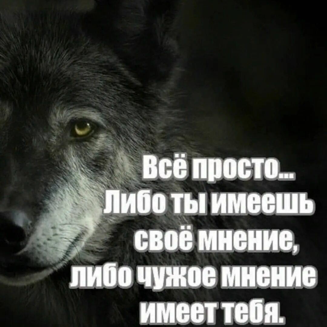 Их мнение и выполняем. Либо ты имеешь своё мнение либо чужое мнение имеет тебя. чужое мнение. чужое мнение цитаты. у каждого свое мнение цитаты.