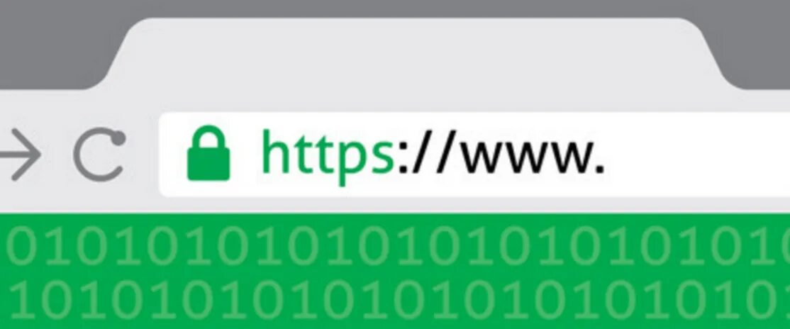Ssl почему. Ssl почему