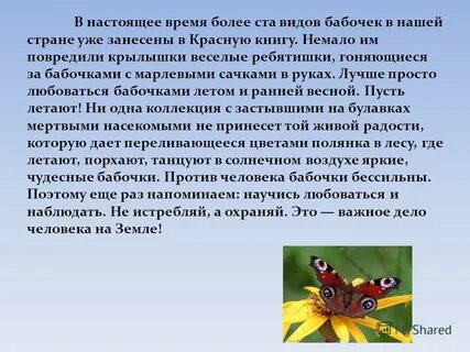 Более ста видов