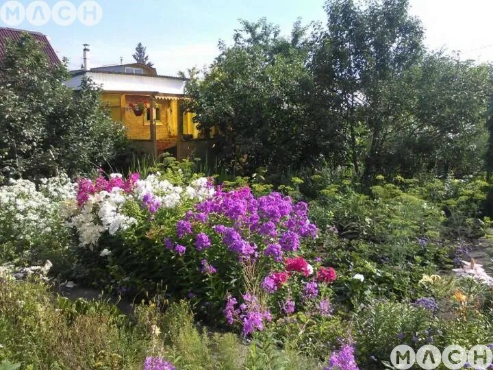 Купить дачу фиалка. Дачи в Осташково. Осташково Омск. СНТ Волжанка Омск Осташково. Дачный посёлок Осташково 1 аллея.