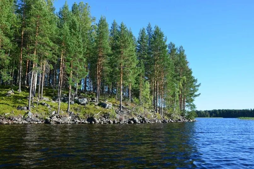 Озеро сандал пляж. Остров сандал. Озеро сегозеро карелия. Остров сандал. Остров сандал.