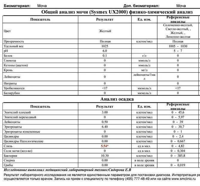 Бактерии в моче после лечения. Streptococcus agalactiae норма при беременности. Стрептококк SPP В мазке у женщин норма. Streptococcus SPP В мазке у женщин 4*10. Стрептококки Streptococcus SPP. В мазке.