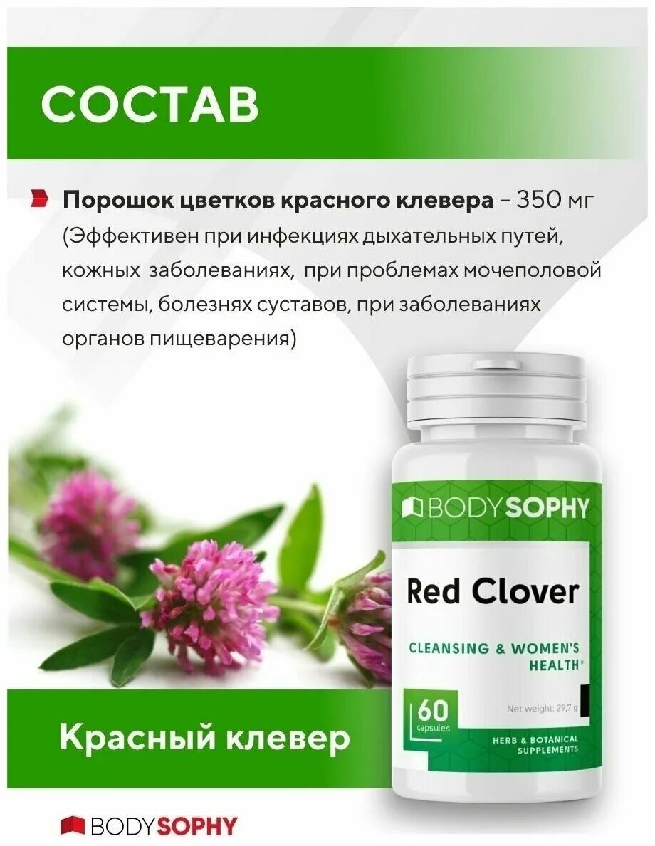красный клевер в капсулах. красный клевер отзывы женщин. биотоник красный клевер. красный клевер для женщин. нсп красный клевер насморк.