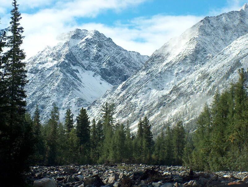 Самая высокая точка восточной сибири. Саяны горы. Горный массив Саяны. Саяны горы Тайга. Алтай и Саяны.