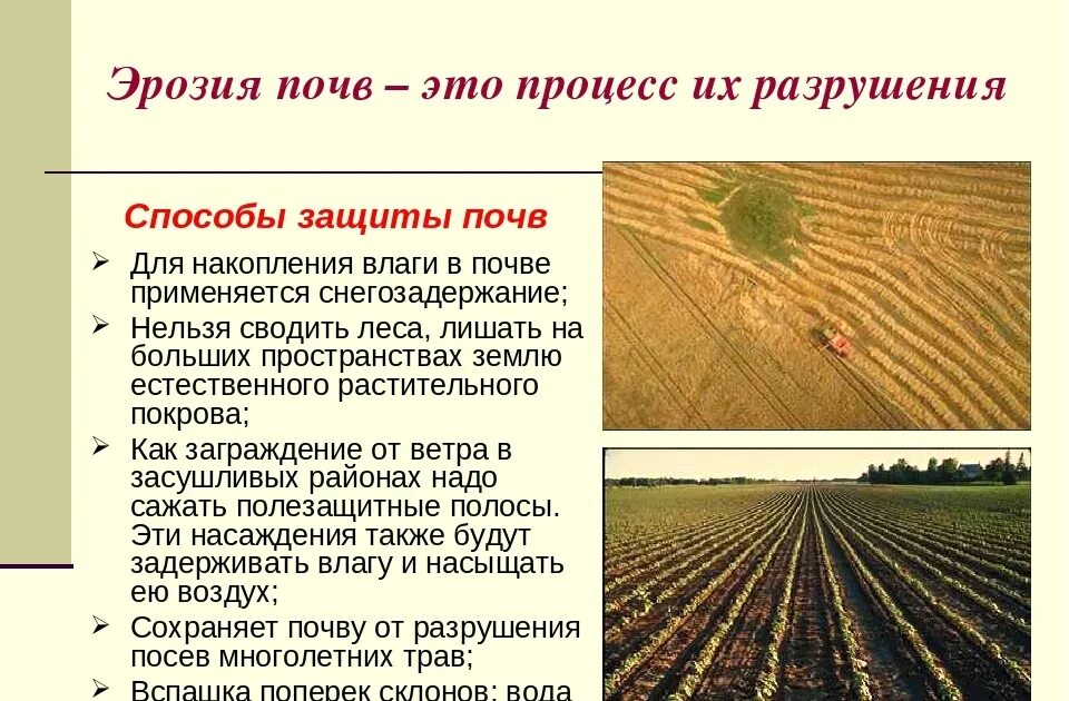 Эрозия почв какая проблема. Способы предотвращения эрозии почвы. Меры защиты почв от водной эрозии. Защита почвы от размыва. Способы защиты почвы от эрозии.