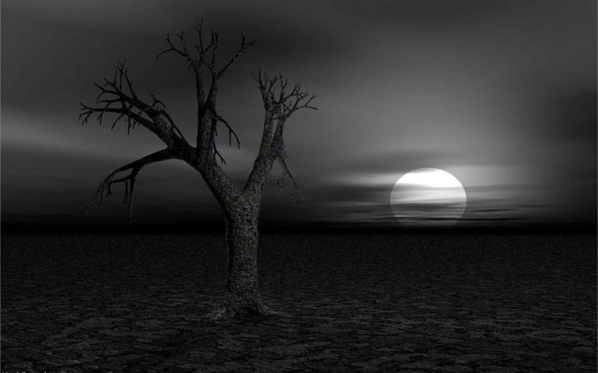 Я смотрю в глаза и там пустота. Темный пейзаж. мрак тьма. мрачное одиночество. темная пустота.
