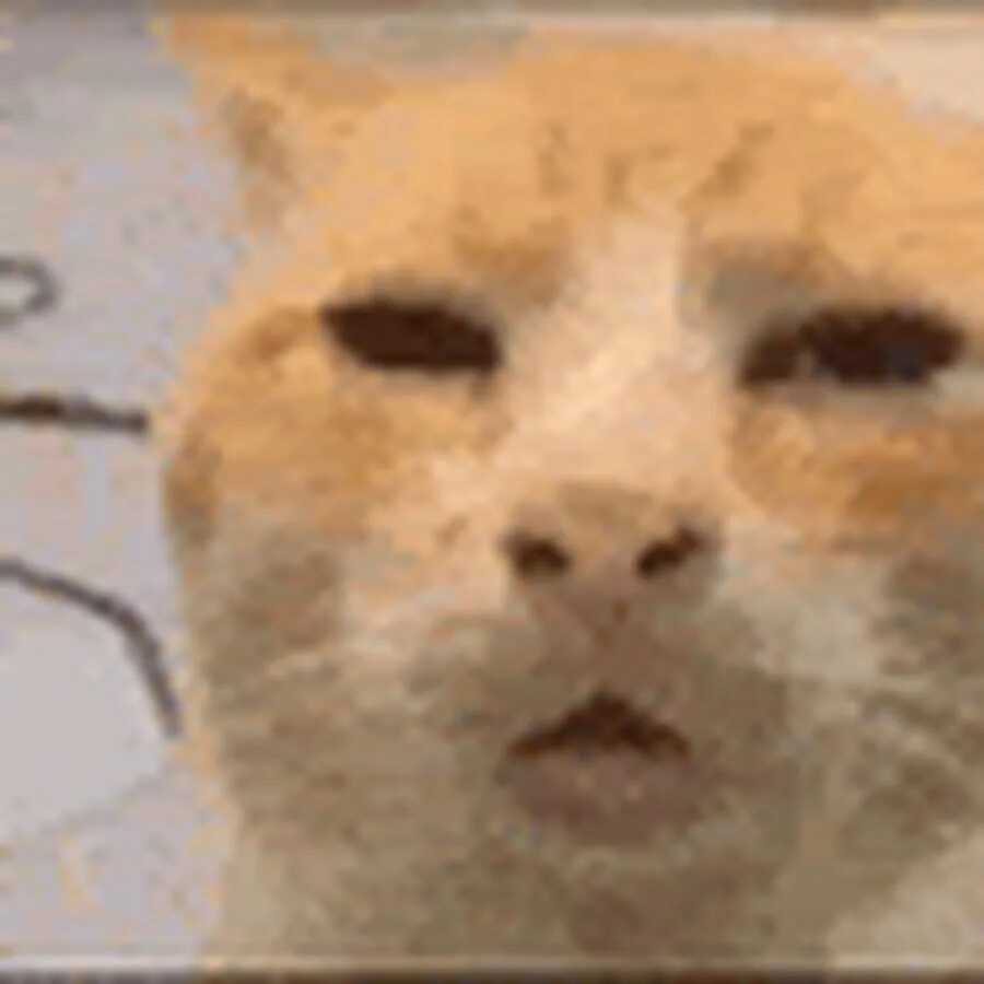 Мем с котом huh