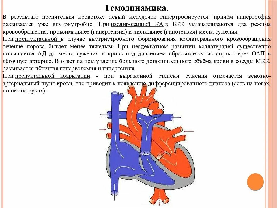 Нарушение кровообращения малого круга. Открытый артериальный проток у детей гемодинамика. Открытый артериальный проток нарушение гемодинамики. Врожденный порок сердца с обеднением малого круга кровообращения. Открытый артериальный проток гемодинамика порока.