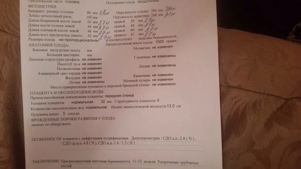 22 неделя отзывы. На УЗИ укорочение трубчатых костей. Укорочение длины трубчатых костей у плода. Длина плечевой кости плода.