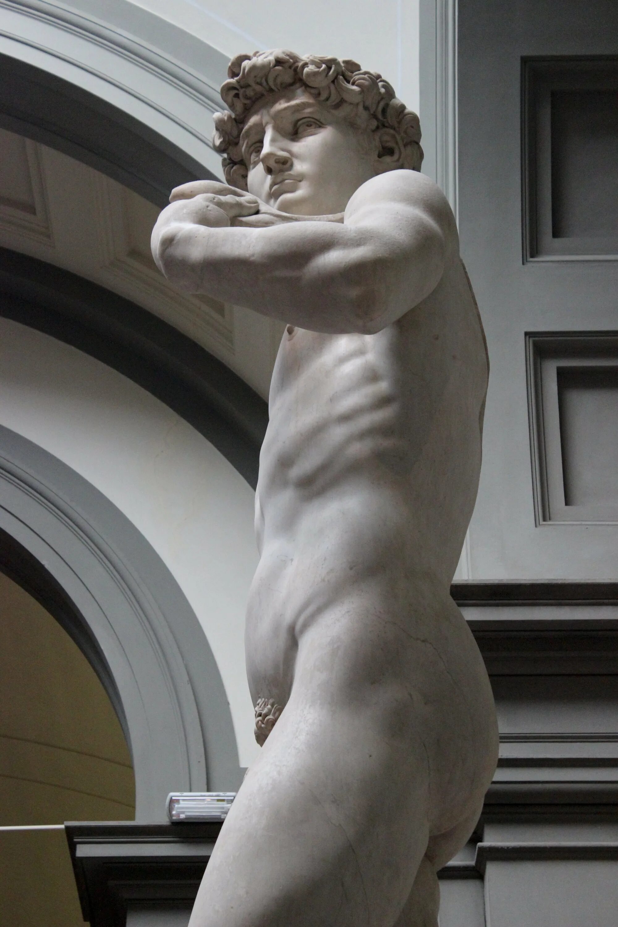 Скульптура давида кто сделал. Микеланджело стадо Давида.