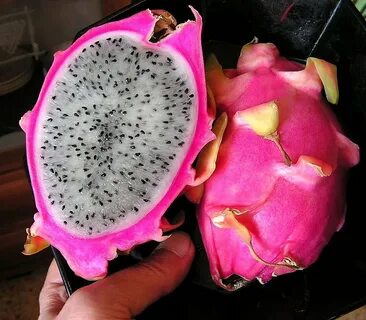 Какой фрукт самый ебабельный