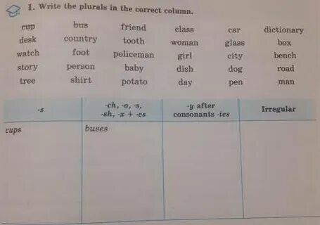 Words in the plural перевод