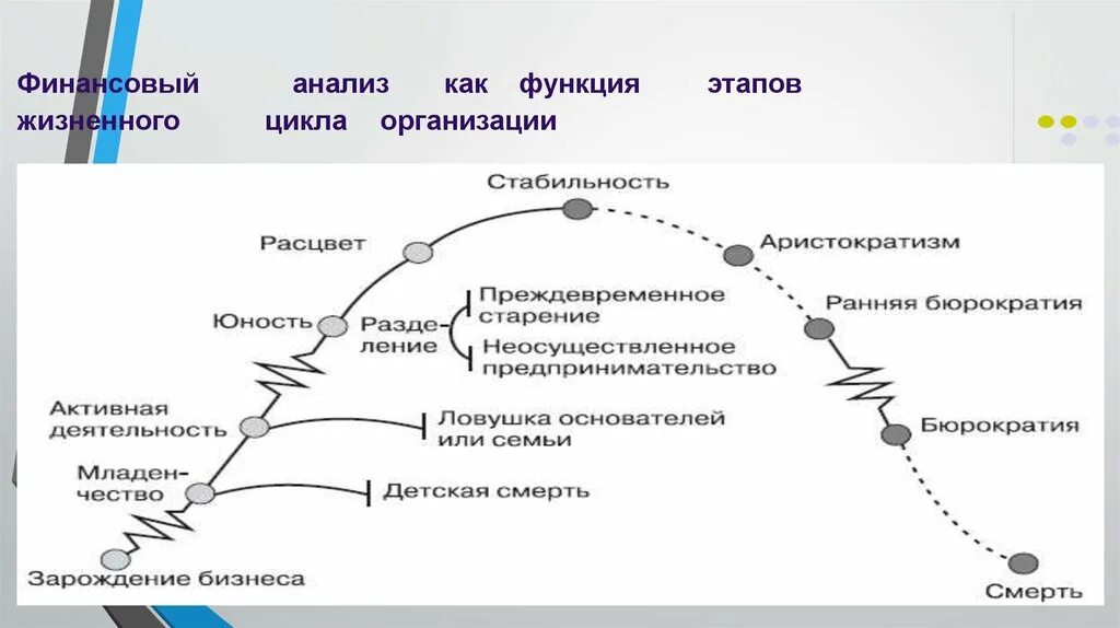 Анализ жизненного цикла предприятия. Финансовый цикл компании. Финансовый жизненный цикл. Методика анализа жизненного цикла организации.
