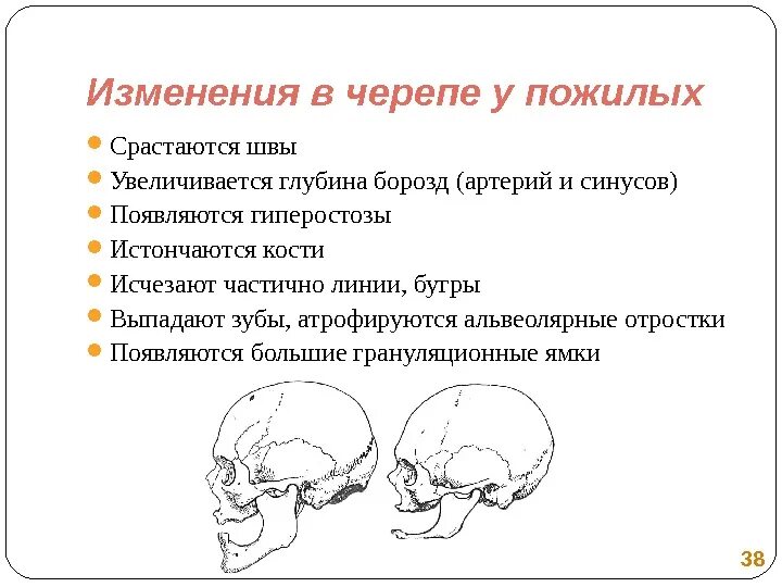 Возрастные изменения черепа анатомия. Возворастные ищменнеия череп. Возрастные изменения костей черепа. Изменение костей черепа с возрастом. Признак возрастных изменений костей